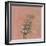 Natures Harmony IV-Ken Hurd-Framed Giclee Print