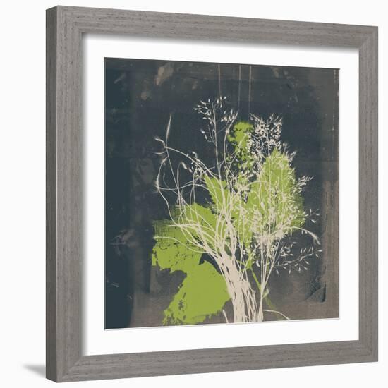 Natures Harmony VII-Ken Hurd-Framed Giclee Print