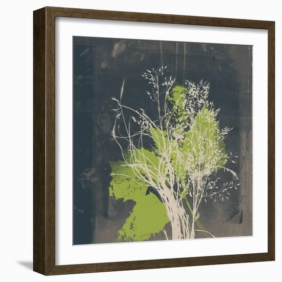 Natures Harmony VII-Ken Hurd-Framed Giclee Print