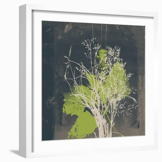 Natures Harmony VII-Ken Hurd-Framed Giclee Print