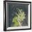 Natures Harmony VII-Ken Hurd-Framed Giclee Print