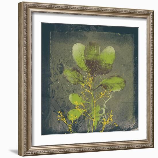 Natures Harmony VIII-Ken Hurd-Framed Giclee Print