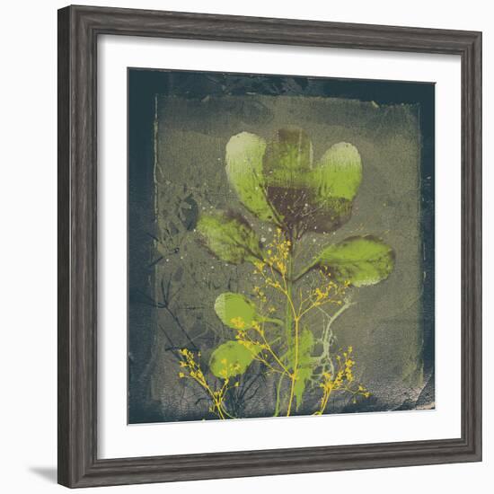 Natures Harmony VIII-Ken Hurd-Framed Giclee Print