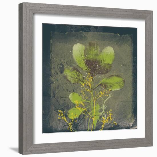 Natures Harmony VIII-Ken Hurd-Framed Giclee Print