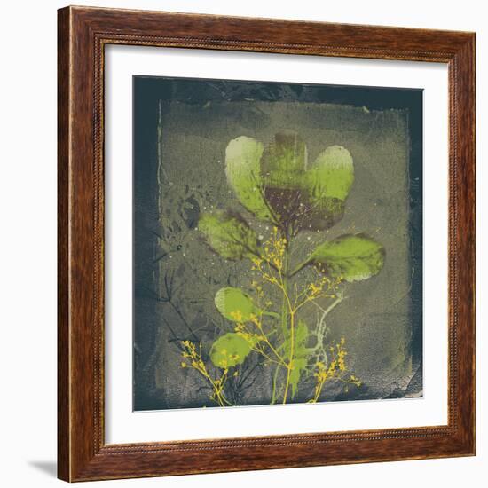 Natures Harmony VIII-Ken Hurd-Framed Giclee Print