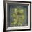 Natures Harmony VIII-Ken Hurd-Framed Giclee Print