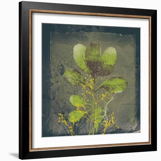 Natures Harmony VIII-Ken Hurd-Framed Giclee Print