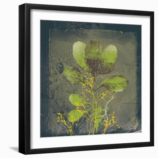 Natures Harmony VIII-Ken Hurd-Framed Giclee Print