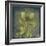 Natures Harmony VIII-Ken Hurd-Framed Giclee Print