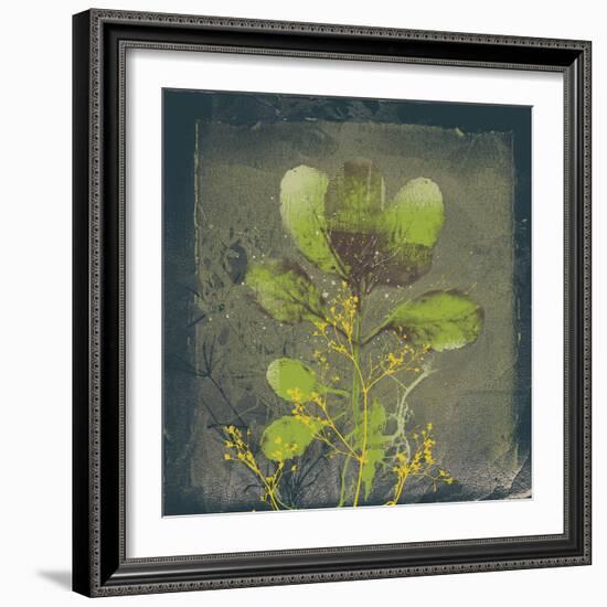 Natures Harmony VIII-Ken Hurd-Framed Giclee Print