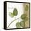 Natures Inspiration I-Mo Mullan-Framed Stretched Canvas