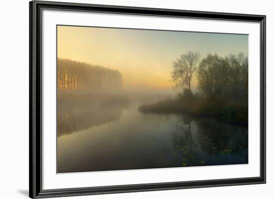 Natures Painting-Ellen Borggreve-Framed Photographic Print