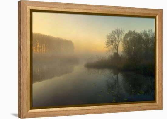 Natures Painting-Ellen Borggreve-Framed Premier Image Canvas