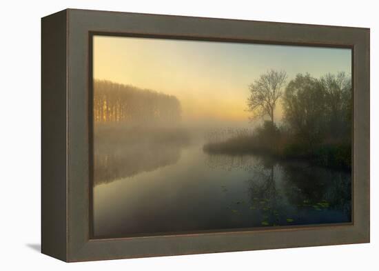 Natures Painting-Ellen Borggreve-Framed Premier Image Canvas