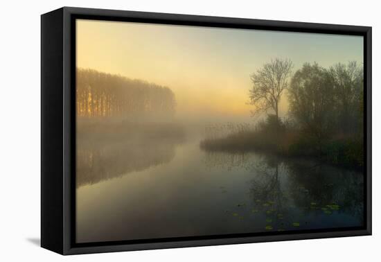 Natures Painting-Ellen Borggreve-Framed Premier Image Canvas