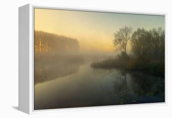 Natures Painting-Ellen Borggreve-Framed Premier Image Canvas