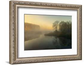 Natures Painting-Ellen Borggreve-Framed Photographic Print