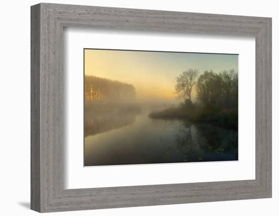 Natures Painting-Ellen Borggreve-Framed Photographic Print