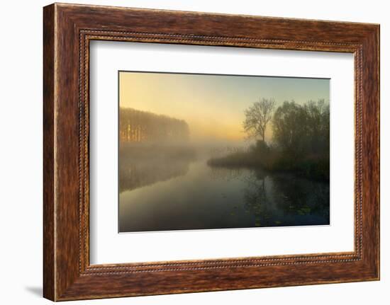 Natures Painting-Ellen Borggreve-Framed Photographic Print