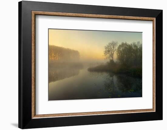 Natures Painting-Ellen Borggreve-Framed Photographic Print