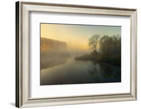 Natures Painting-Ellen Borggreve-Framed Photographic Print