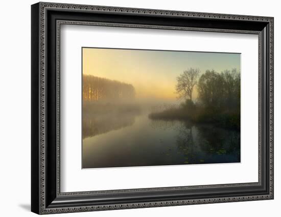 Natures Painting-Ellen Borggreve-Framed Photographic Print