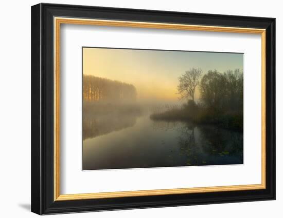 Natures Painting-Ellen Borggreve-Framed Photographic Print