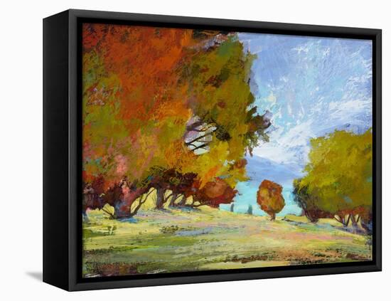 Natures Serenade IX-Michael Tienhaara-Framed Stretched Canvas