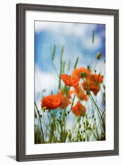 Natures Touch-David Baker-Framed Photographic Print