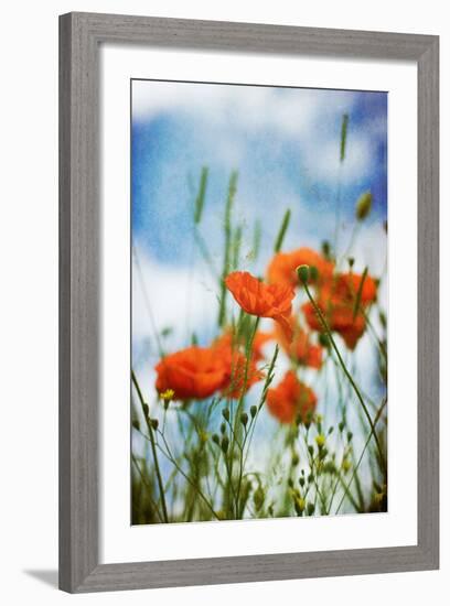 Natures Touch-David Baker-Framed Photographic Print
