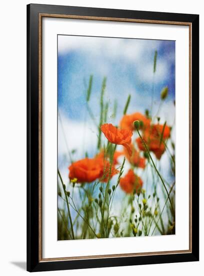 Natures Touch-David Baker-Framed Photographic Print