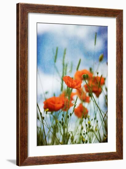 Natures Touch-David Baker-Framed Photographic Print