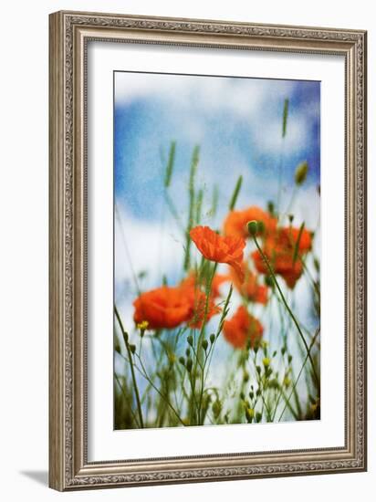 Natures Touch-David Baker-Framed Photographic Print