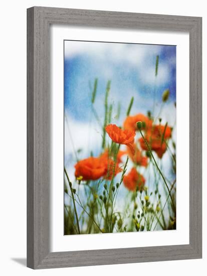 Natures Touch-David Baker-Framed Photographic Print