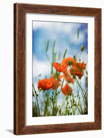 Natures Touch-David Baker-Framed Photographic Print