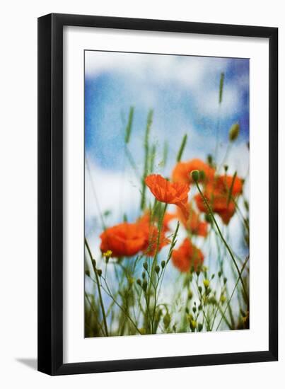 Natures Touch-David Baker-Framed Photographic Print