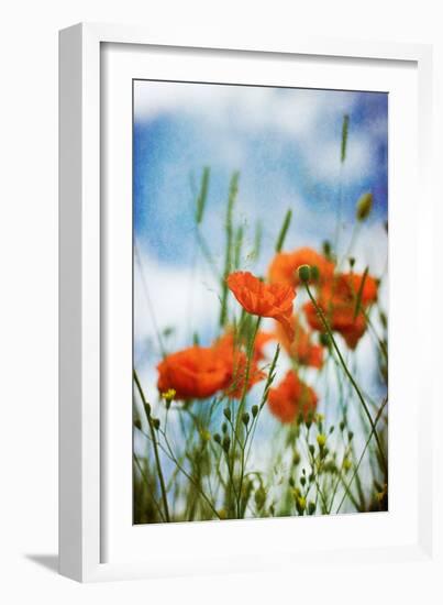 Natures Touch-David Baker-Framed Photographic Print