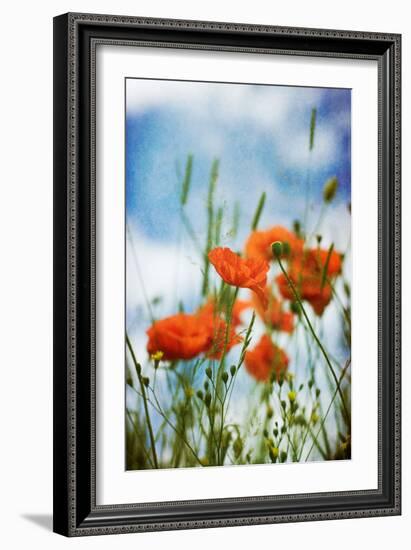 Natures Touch-David Baker-Framed Photographic Print