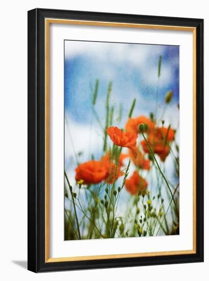 Natures Touch-David Baker-Framed Photographic Print