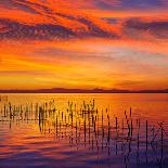 La Albufera Lake Sunset in El Saler of Valencia at Spain-Naturewolrd-Photographic Print