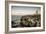 Nau Dos Corvos, Peniche, Portugal-Louis Arevalo-Framed Photographic Print