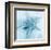 Nautica I-Alan Blaustein-Framed Art Print