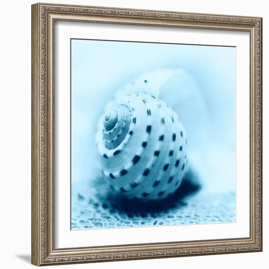 Nautica No3-Alan Blaustein-Framed Photographic Print