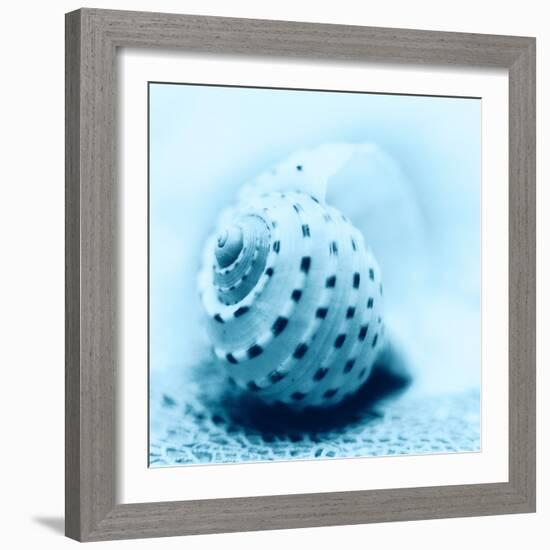 Nautica No3-Alan Blaustein-Framed Photographic Print