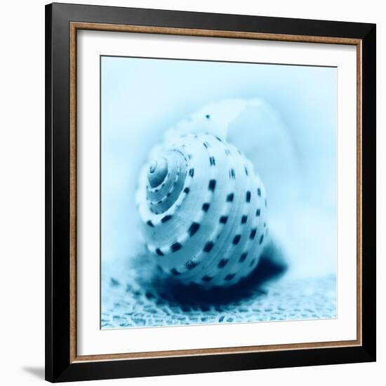 Nautica No3-Alan Blaustein-Framed Photographic Print