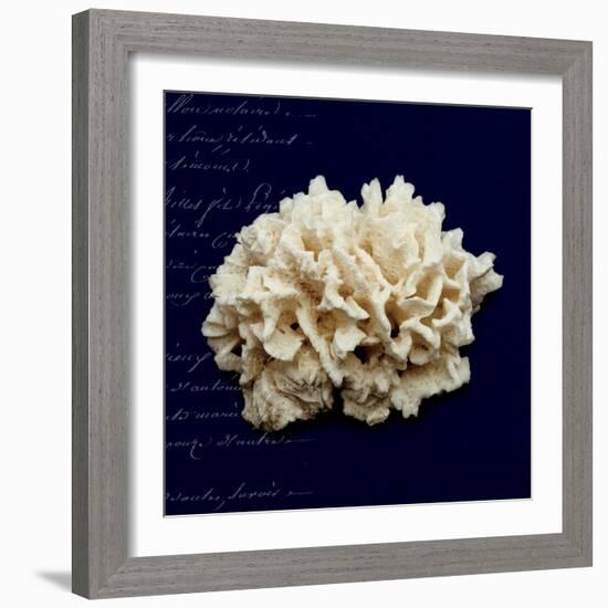 Nautical Blue Coral-Julie Greenwood-Framed Art Print