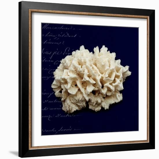 Nautical Blue Coral-Julie Greenwood-Framed Art Print