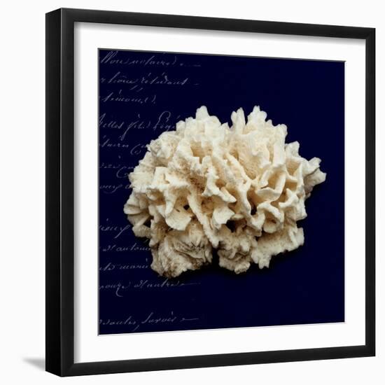 Nautical Blue Coral-Julie Greenwood-Framed Art Print