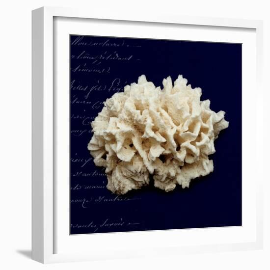 Nautical Blue Coral-Julie Greenwood-Framed Art Print