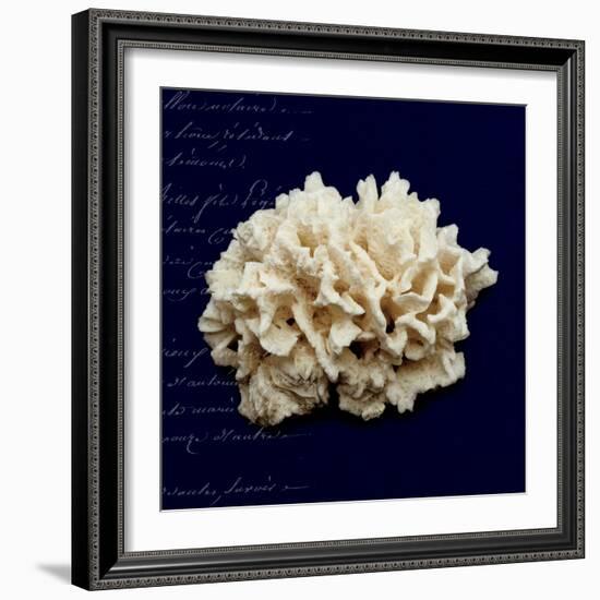 Nautical Blue Coral-Julie Greenwood-Framed Art Print